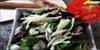 Fesleğenli Salata
